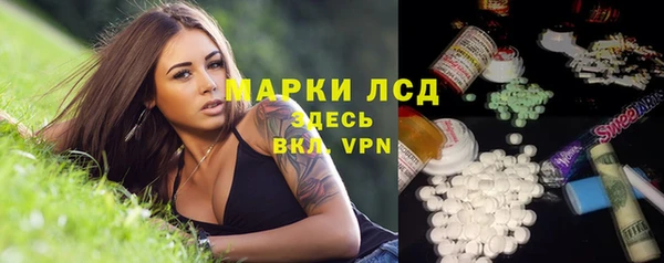 дживик Майский
