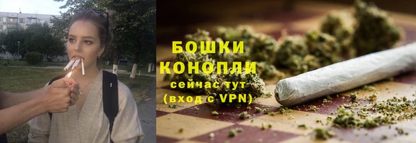 дживик Майский